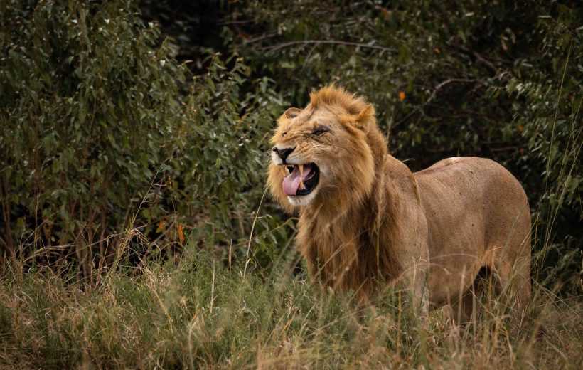 Day Trip to Saadani National Park